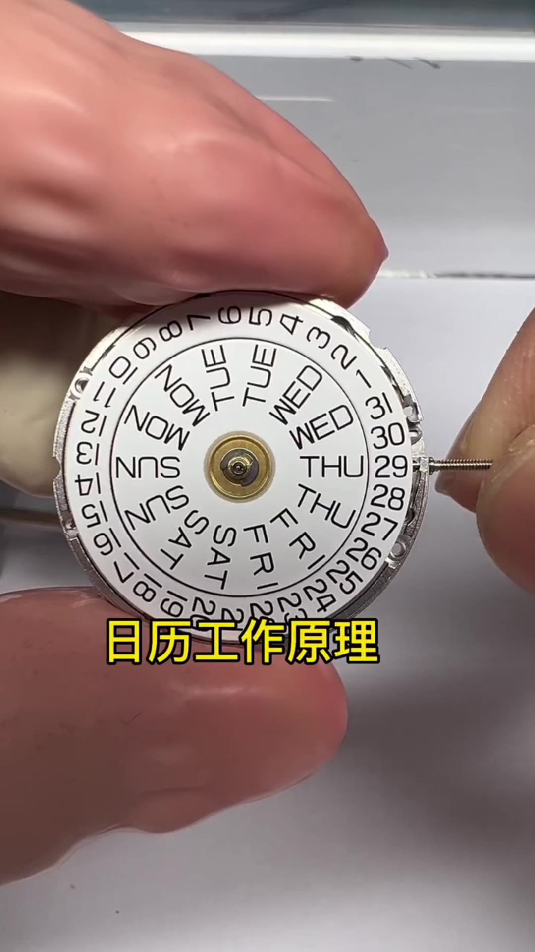 双历机构：星期盘（MON–SUN）与日期盘（1–31）的配合