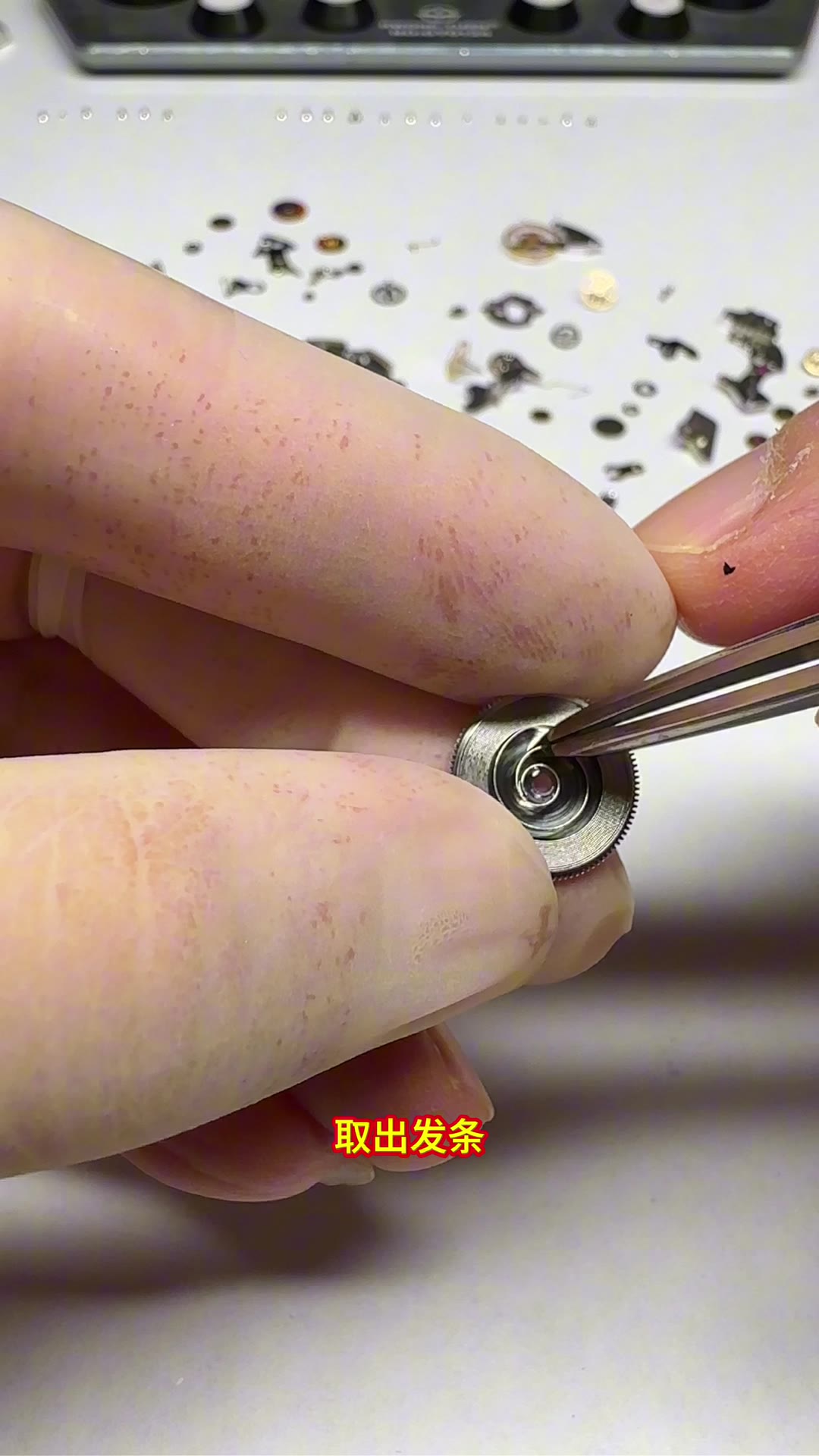 从发条盒中取出发条